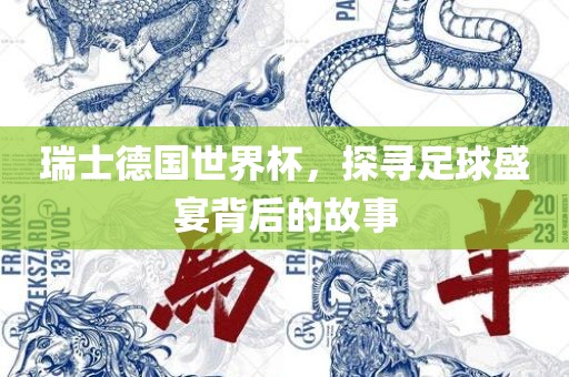 瑞士德国世界杯，探寻足球盛宴背后的故事广西贺州市华昌新材料有限公司