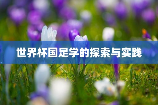 susihan 第3页