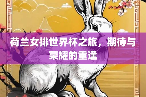 荷兰女排世界杯之旅，期待与荣耀的重逢广西贺州市华昌新材料有限公司