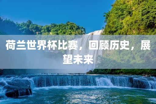 荷兰世界杯比赛，回顾历史，展望未来广西贺州市华昌新材料有限公司
