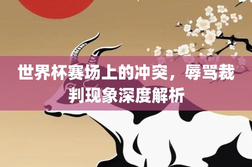 世广西贺州市华昌新材料有限公司界杯赛场上的冲突，辱骂裁判现象深度解析