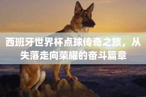 西班牙世界杯点球传奇之旅，从失落走向荣耀的奋斗篇章广西贺州市华昌新材料有限公司