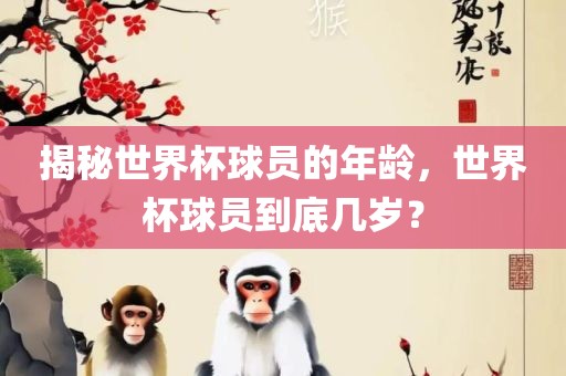 揭秘世界杯球员的年龄，世界杯球员到底几岁？广西贺州市华昌新材料有限公司