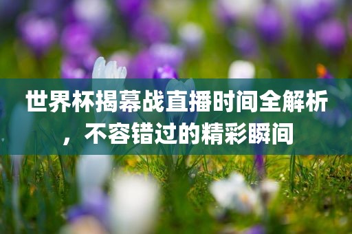 世界杯揭幕战直播时间全解析，不容错过的精彩瞬间
