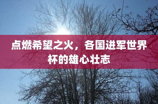 点燃希望之火广西贺州市华昌新材料有限公司，各国进军世界杯的雄心壮志
