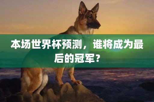 本场世界杯预测，谁将成为最后的冠军？