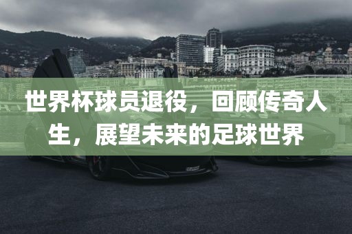 世界杯球员退役，回顾传奇人生，展望未来的足球世界广西贺州市华昌新材料有限公司