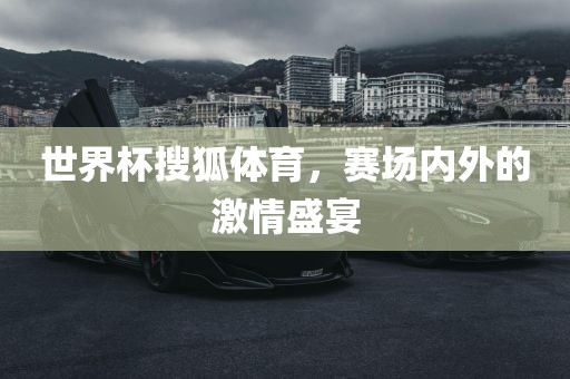 世界杯搜狐体育，赛场内外的激情盛宴广西贺州市华昌新材料有限公司
