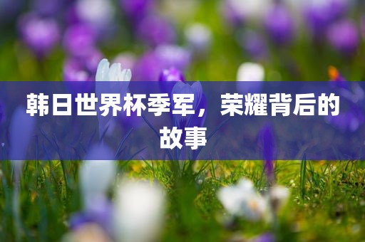 韩日世界杯季军，荣耀背后的故事