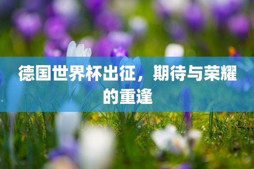 德国世界杯出征，期待与荣耀的重逢广西贺州市华昌新材料有限公司