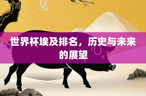 世界杯埃及排名，历史与未来的展望广西贺州市华昌新材料有限公司