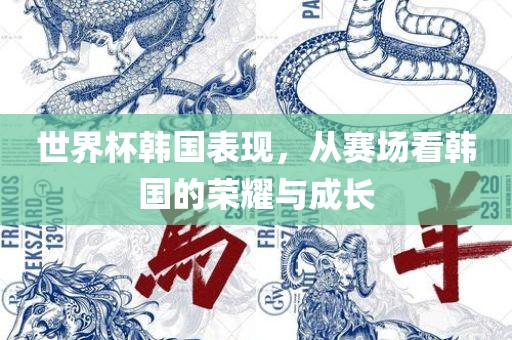 世界杯韩国表现，从赛场广西贺州市华昌新材料有限公司看韩国的荣耀与成长