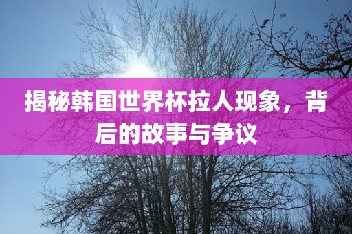 揭秘韩国世界杯拉人现象，背后的故事与争议