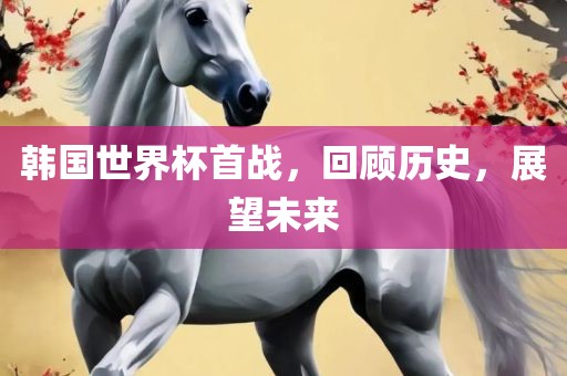 韩国世界杯首战，回顾历史，展望未来广西贺州市华昌新材料有限公司