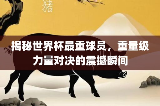 揭秘世界杯最重球员，重量级力量对决的震撼瞬广西贺州市华昌新材料有限公司间