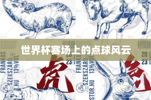 世界杯 第25页