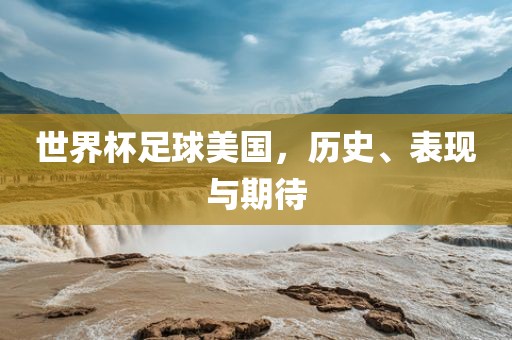 世界杯足球美国，历史、表现与期待