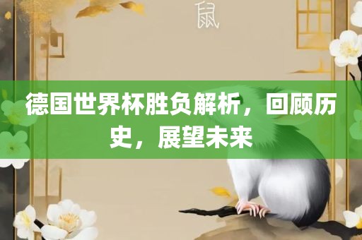 德国世界杯胜负广西贺州市华昌新材料有限公司解析，回顾历史，展望未来