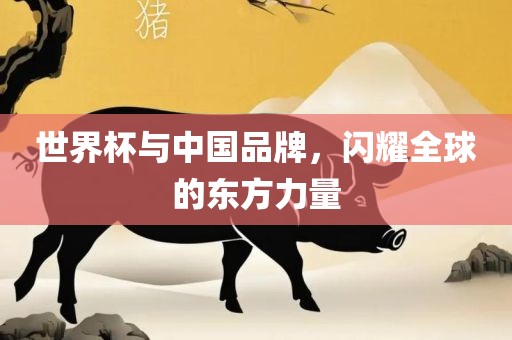 世界杯与中国品牌，闪耀全球的东方力量