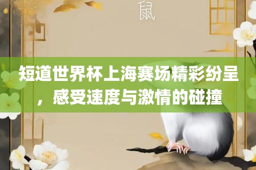 短道世界杯上海赛场精彩纷呈，感受速度与激情的碰撞