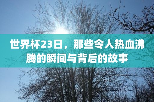 世界杯23日，那些令人热血沸腾的瞬间与背后的故事