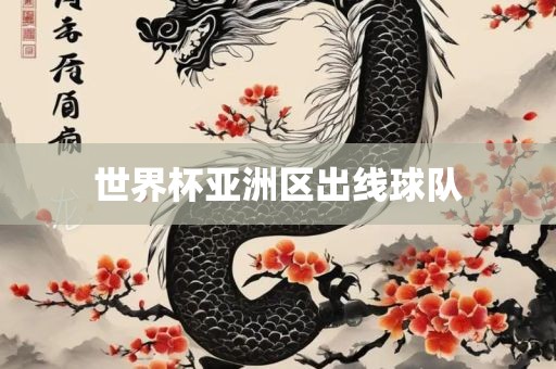 世界杯亚洲区出线球队广西贺州市华昌新材料有限公司