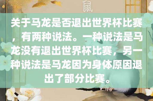 关于马龙是否退出世界杯比赛，有两种说法。一种说法是马龙没有退出世界杯比赛，另一种说法是马龙因为身体原因退出了部分比赛。