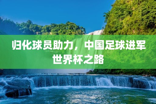 归化球员助力，中国足球进军世界杯之路广西贺州市华昌新材料有限公司