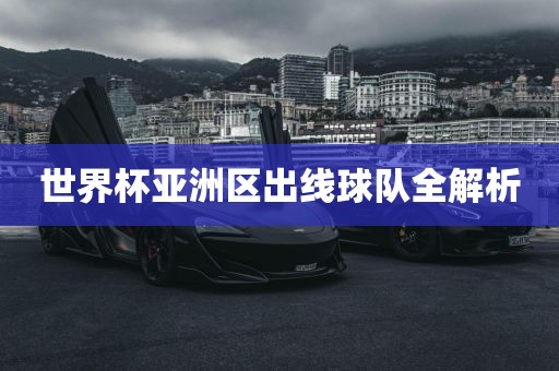 世界杯亚洲区出线球队全解析