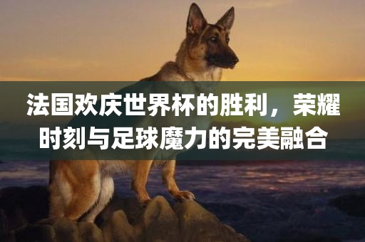 法国欢庆世界杯的胜利，荣耀时刻与足球魔力的完美融合