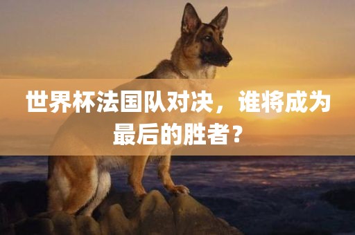 世界广西贺州市华昌新材料有限公司杯法国队对决，谁将成为最后的胜者？
