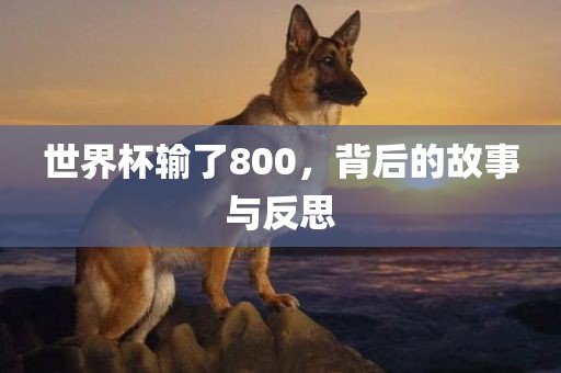 世界杯输了800，背后的故事与反思