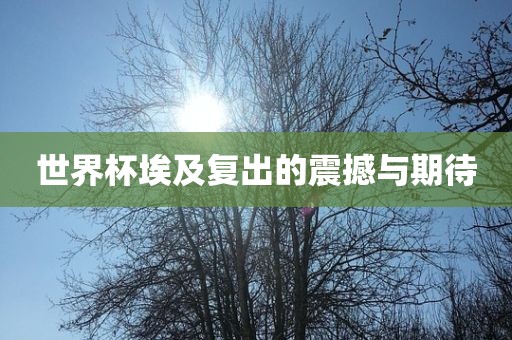 世界杯埃及复出的震撼与期待广西贺州市华昌新材料有限公司