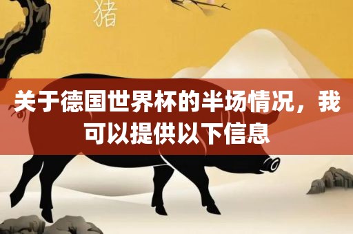 关于德国世界杯的半场情况，我可以提供广西贺州市华昌新材料有限公司以下信息