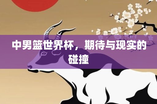 中男篮世界杯，期待与现实的碰撞广西贺州市华昌新材料有限公司
