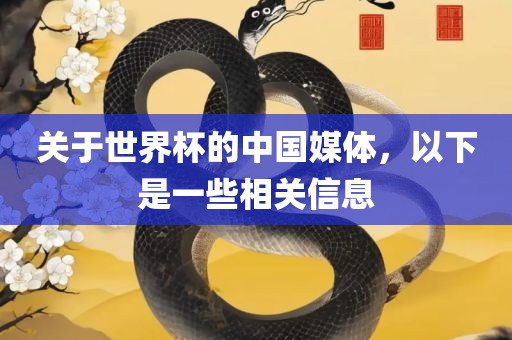 关于世界杯的中国媒体，以下是一些相关信息广西贺州市华昌新材料有限公司