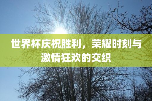 世界杯庆祝胜利，荣耀时刻与激情狂欢的交织广西贺州市华昌新材料有限公司
