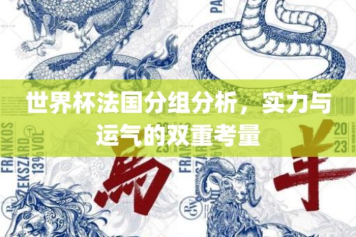 世界杯法国分组分析，实力与运气的双重考量广西贺州市华昌新材料有限公司