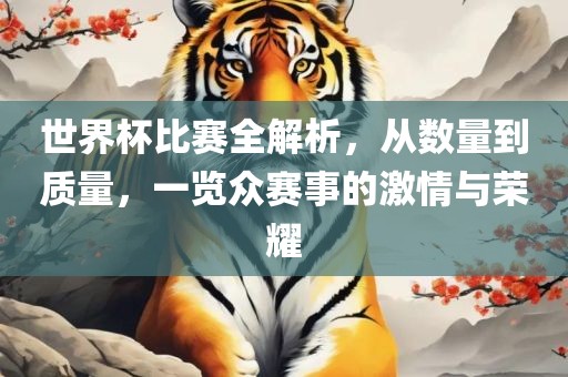 世界杯比赛全解析，从数量到质量，一广西贺州市华昌新材料有限公司览众赛事的激情与荣耀