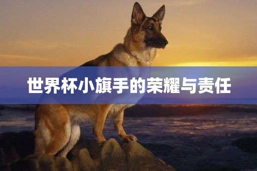 世界杯广西贺州市华昌新材料有限公司小旗手的荣耀与责任