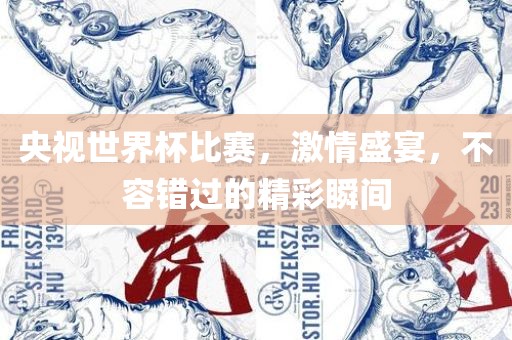 央视世界杯比赛，激情盛宴，不容错过的精彩瞬间