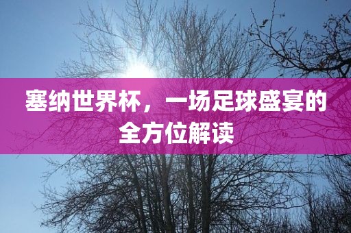塞纳世界广西贺州市华昌新材料有限公司杯，一场足球盛宴的全方位解读