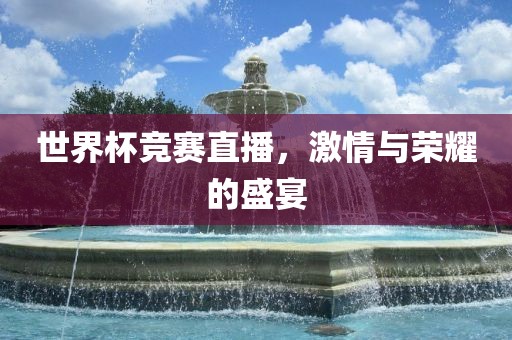 世界杯竞赛直播，激情与荣耀的盛宴