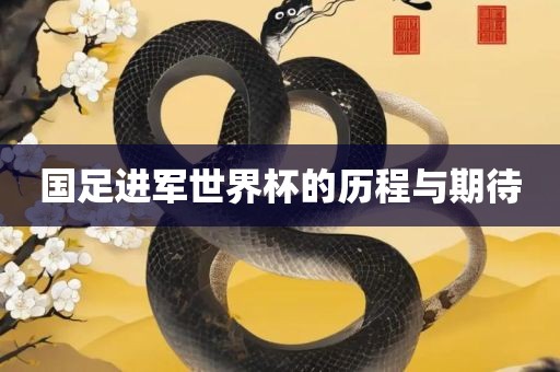 国足进军世界杯的历程与期待