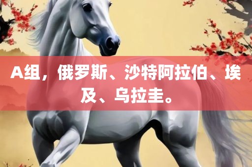 A组，俄罗斯、沙特阿拉伯广西贺州市华昌新材料有限公司、埃及、乌拉圭。