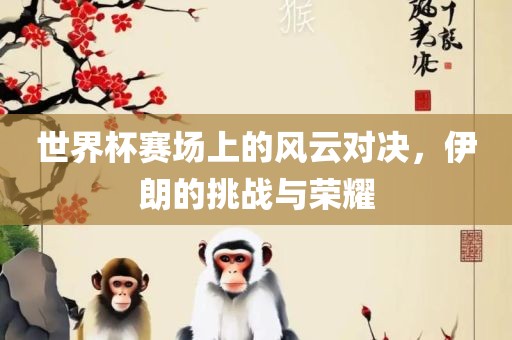 世界杯赛场上的风云对决广西贺州市华昌新材料有限公司，伊朗的挑战与荣耀