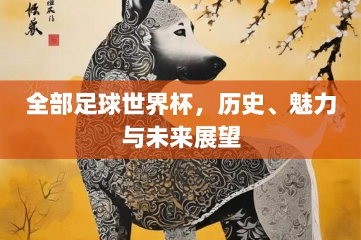 全部足球世界杯，历史、魅力与未来展望