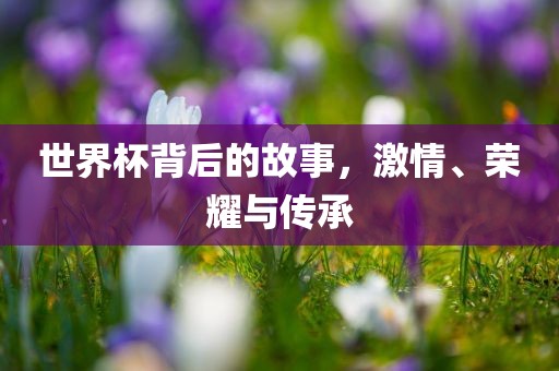 世广西贺州市华昌新材料有限公司界杯背后的故事，激情、荣耀与传承