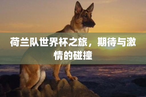 荷兰队世界杯之旅，期待与激情的碰撞