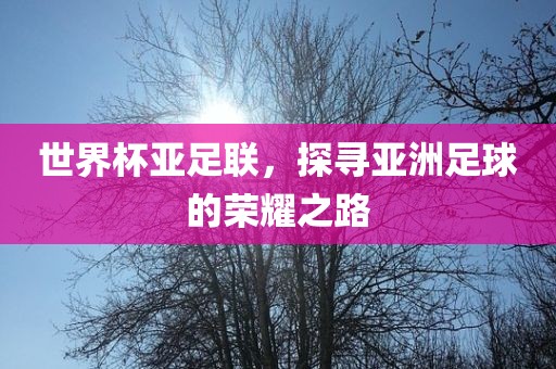 世界杯亚足联，探寻亚洲足球的荣耀之路广西贺州市华昌新材料有限公司